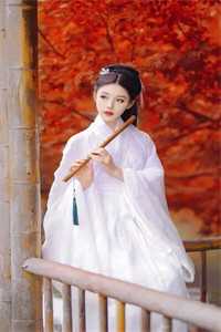 不朽仙婿后续+完结
