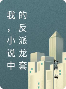 《我，小说中的反派龙套》桁笛小说最新章节_王晨,赵局全本在线免费阅读