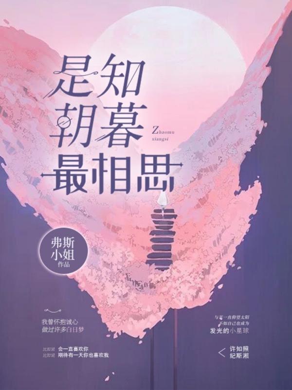 《是知朝暮最相思》弗斯小姐小说最新章节_纪斯湘,许霞完整版在线免费阅读