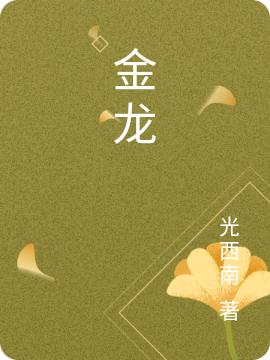 《金龙》光西南小说最新章节_王梦雅,龙哥哥完整版在线免费阅读
