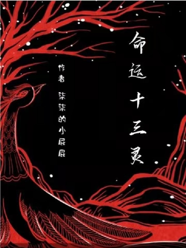 小说苏晟 王辉《命运十三灵》在线全文免费阅读
